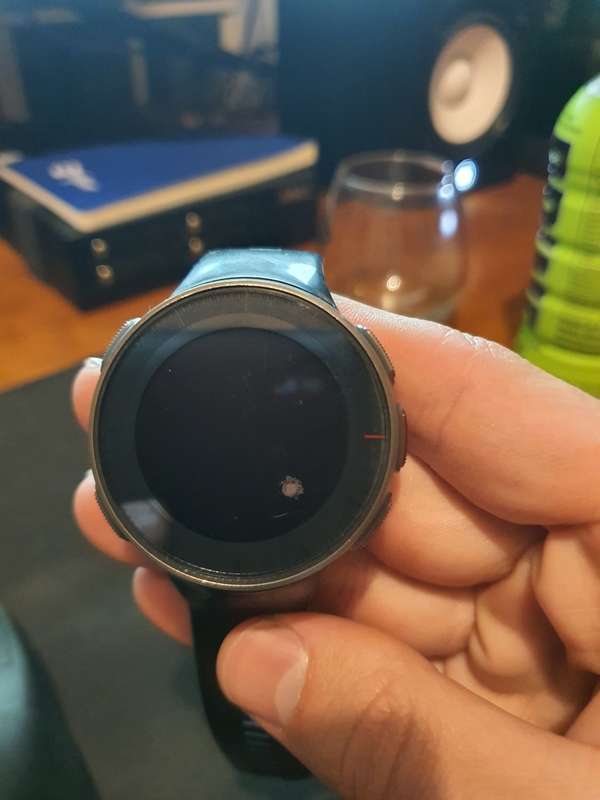 POLAR VANTAGE V