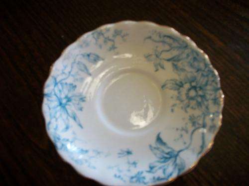 BLUE AND WHITE PLATE