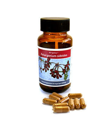 Pelargonium Sidoides 60 VCaps (Colds & Flu)