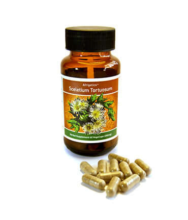 Sceletium tortuosum (Natural Anti-Depressant) 60 capsules