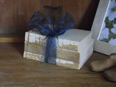 Vintage Shabby Chic Book Decor (Blue Organza)