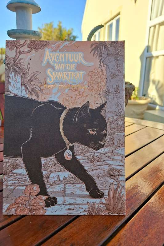 Daniel Hugo Illustration - Avontuur van die swartkat