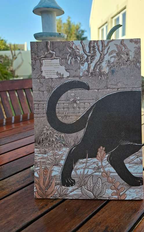 Daniel Hugo Illustration - Avontuur van die swartkat