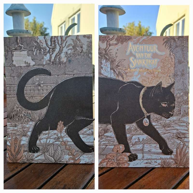 Daniel Hugo Illustration - Avontuur van die swartkat