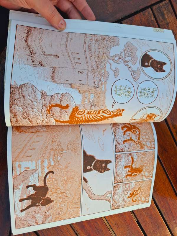 Daniel Hugo Illustration - Avontuur van die swartkat