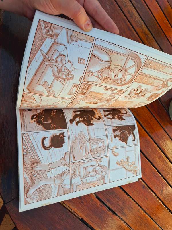 Daniel Hugo Illustration - Avontuur van die swartkat