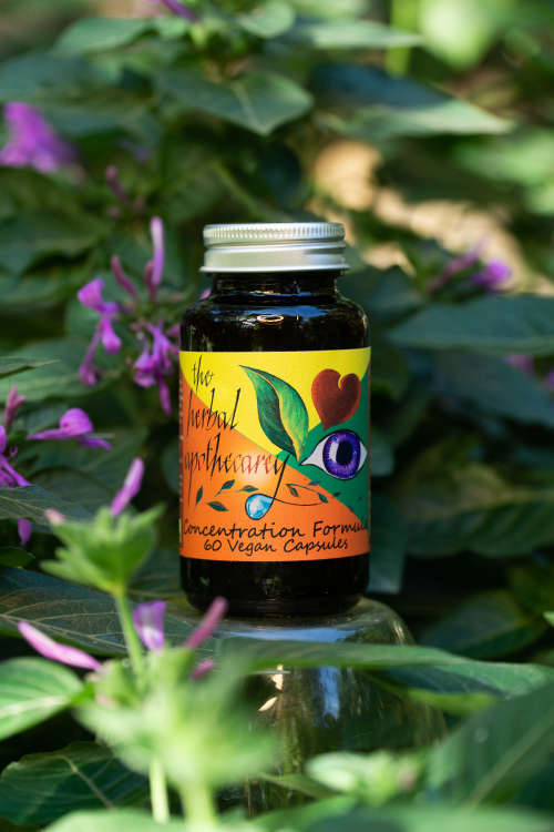 Concentration Formula - The Secret to Staying Sharp and Focused All Day Long