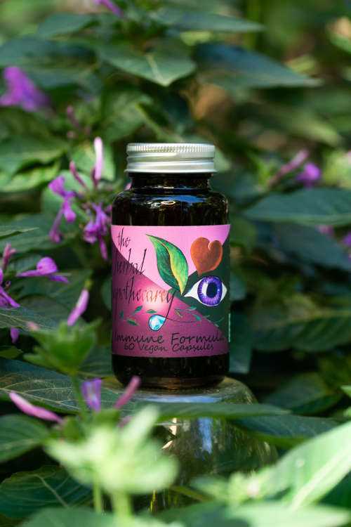 Immune Formula - Boost Your Immune System and Stay Healthy All Year Long