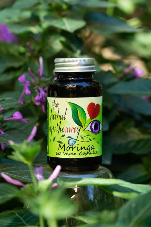 Moringa Olifera - The Miracle Tree That Boosts Your Health and Well-Being
