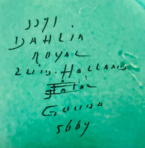 Beautiful Gouda Dahlia pattern 3 footed plate