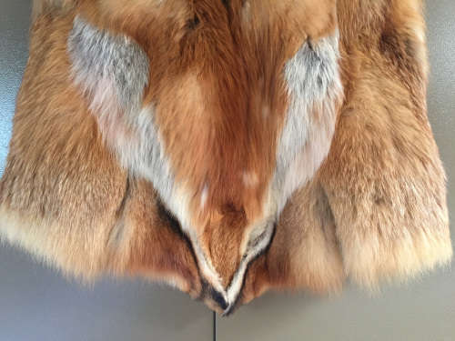 Vintage haute couture fox stole