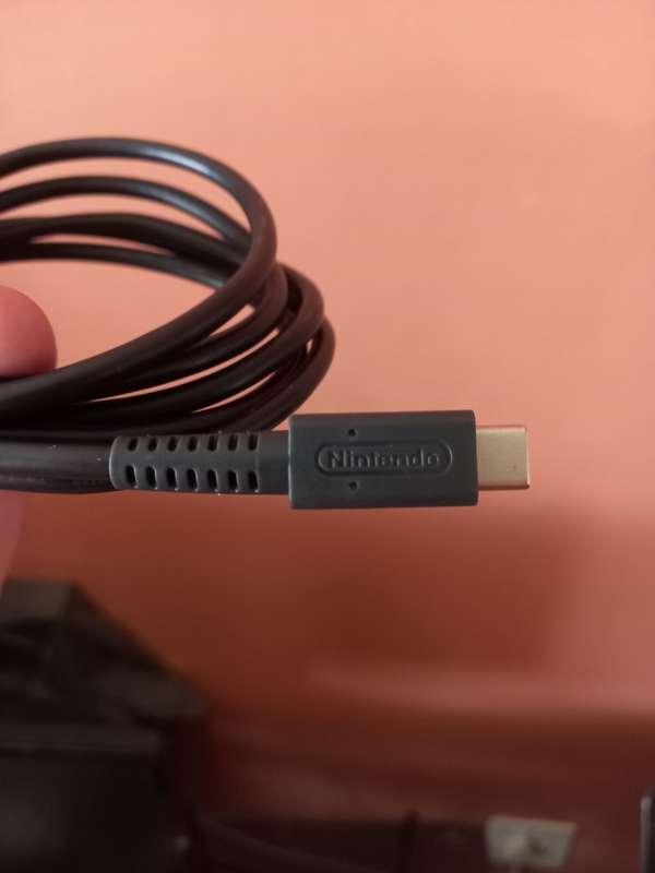 Switch Charging Cable