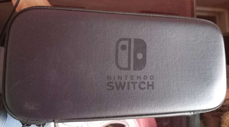 Switch Travel Case
