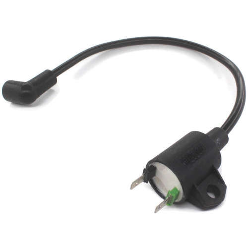 High Voltage Ignition Coil Generator