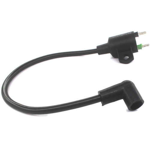 High Voltage Ignition Coil Generator