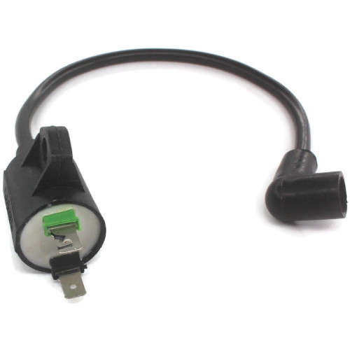 High Voltage Ignition Coil Generator
