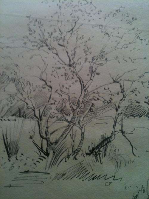 WALTER WESTBROOK ORIGINAL 1973 MARKED SIGNED AND DESCRIBED BY ARTIST.