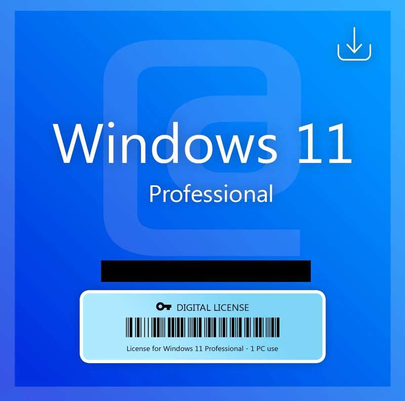Windows 11 Professional