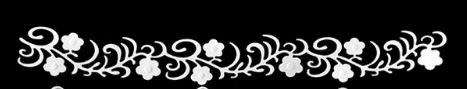 EMBOSSED BORDER