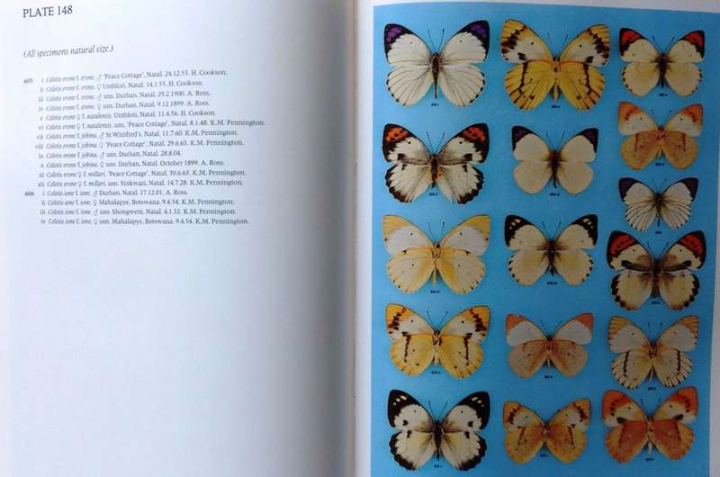 Pennington`s Butterflies of Southern Africa - C G C Dickson and D M Kroon