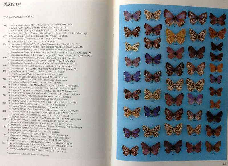 Pennington`s Butterflies of Southern Africa - C G C Dickson and D M Kroon