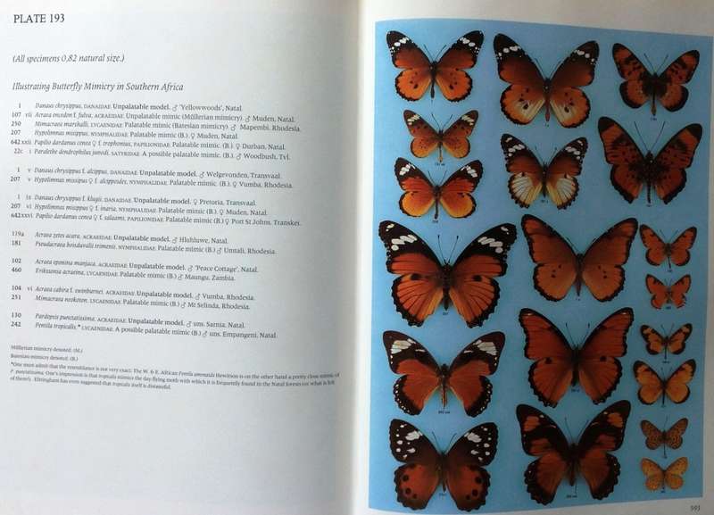 Pennington`s Butterflies of Southern Africa - C G C Dickson and D M Kroon