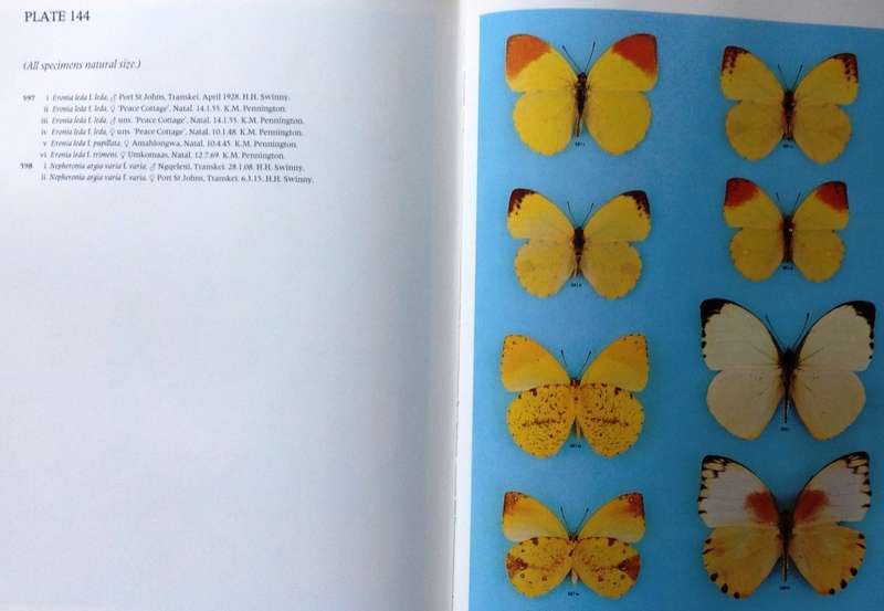 Pennington`s Butterflies of Southern Africa - C G C Dickson and D M Kroon