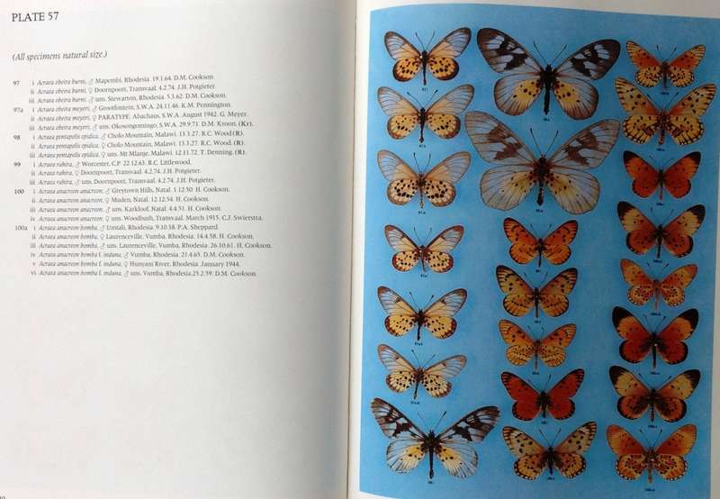 Pennington`s Butterflies of Southern Africa - C G C Dickson and D M Kroon