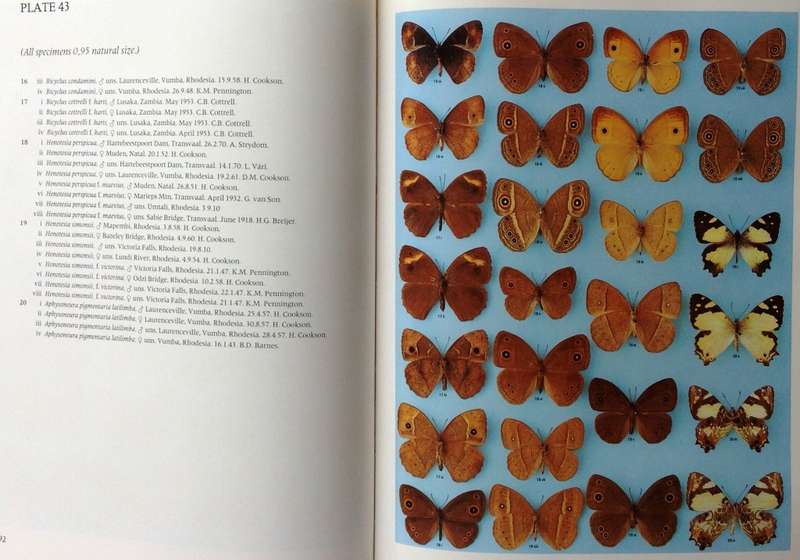 Pennington`s Butterflies of Southern Africa - C G C Dickson and D M Kroon
