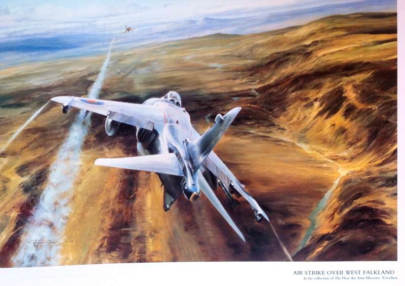 Air Combat Paintings Volume 1 - C Walker and R Taylor - Hardcover