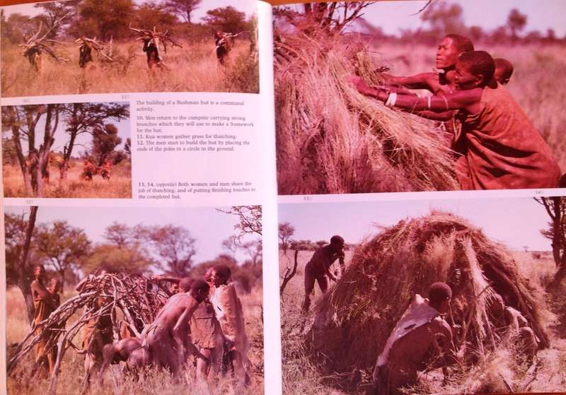 Testament to the Bushmen - Laurens van der Post and Jane Taylor