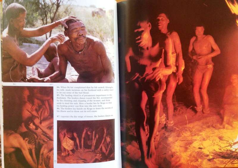 Testament to the Bushmen - Laurens van der Post and Jane Taylor