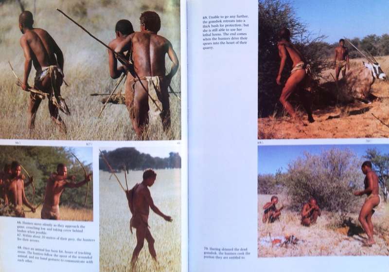 Testament to the Bushmen - Laurens van der Post and Jane Taylor