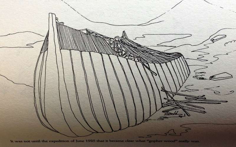 The Discovery of NOAH`S ARK - David Fasold - Hardcover