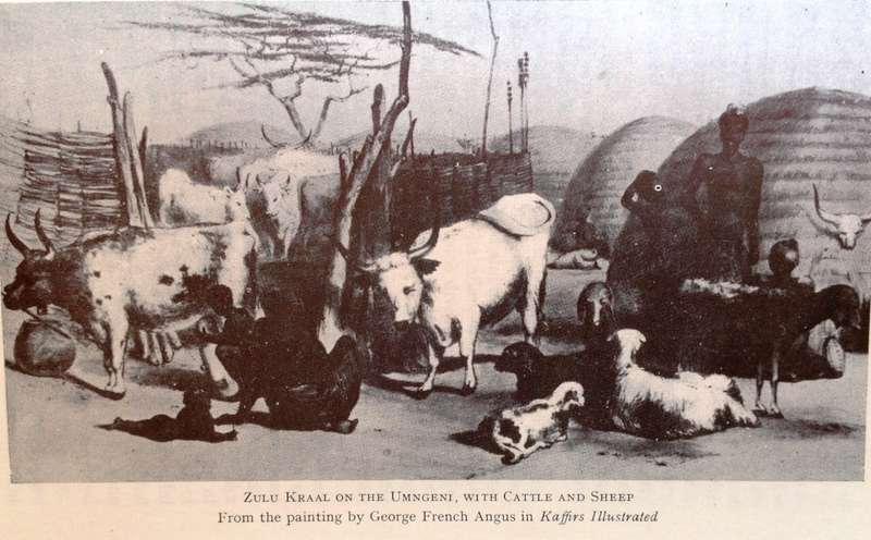 The Diary of Henry Francis Finn