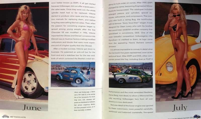 beetle mania - alessandro pasi - hardcover
