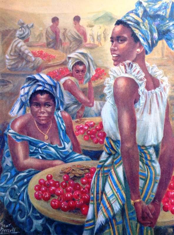 Sunburnt Africa - Kent Cottrell - Hardcover