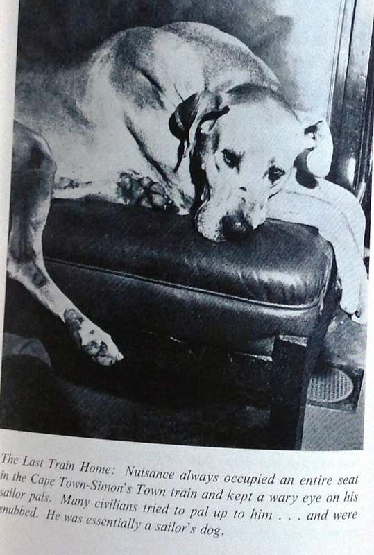 Just Nuisance - True story of an Able Seaman who led a Dog's Life - Leslie M Steyn