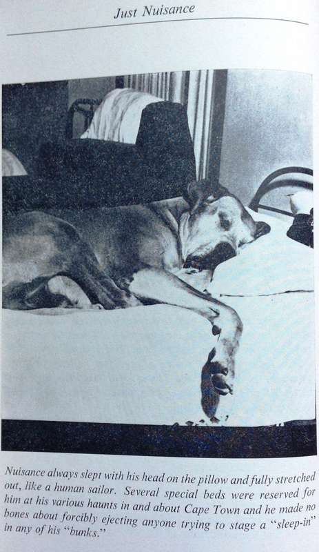 Just Nuisance - True story of an Able Seaman who led a Dog's Life - Leslie M Steyn