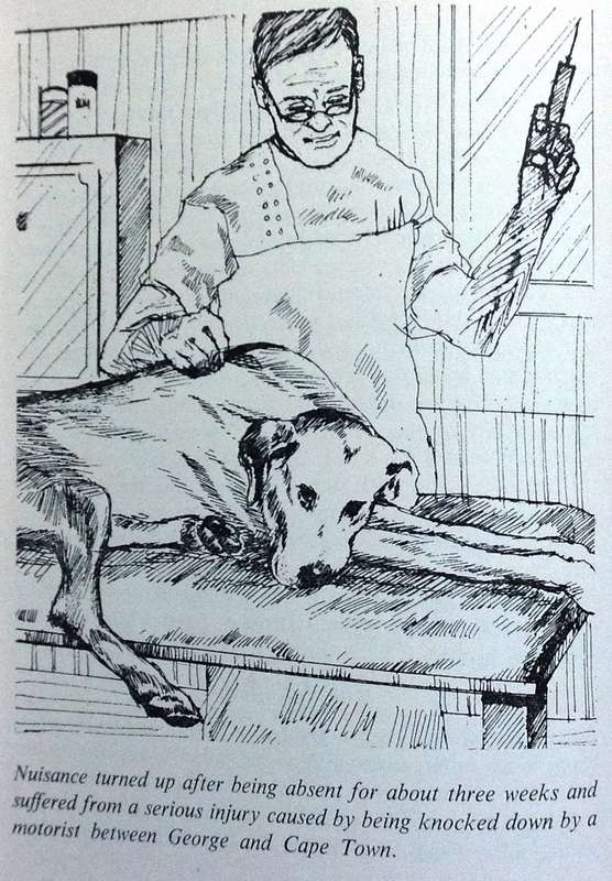 Just Nuisance - True story of an Able Seaman who led a Dog's Life - Leslie M Steyn