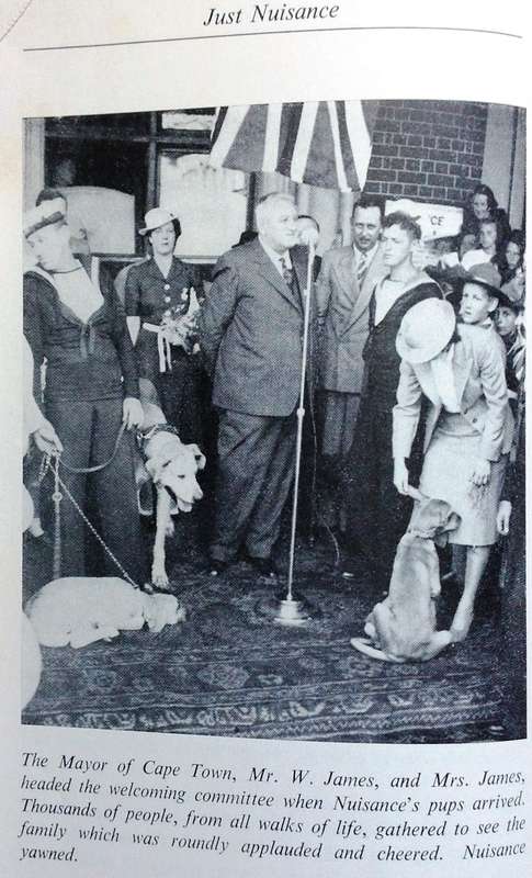 Just Nuisance - True story of an Able Seaman who led a Dog's Life - Leslie M Steyn