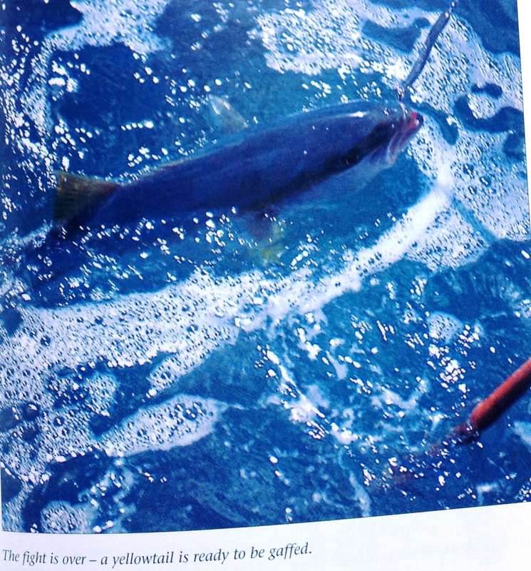 Saltwater Fishing in South Africa - Hennie Crous