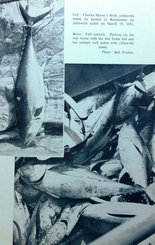Big Game Fishing in South Africa - Charles Horne - Hardcover