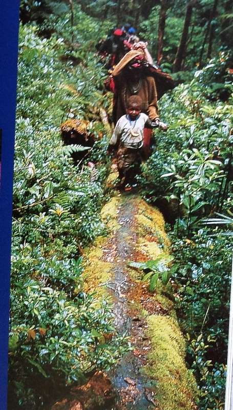 Rocks and Hard Places - Alex Harris - book signed by Author