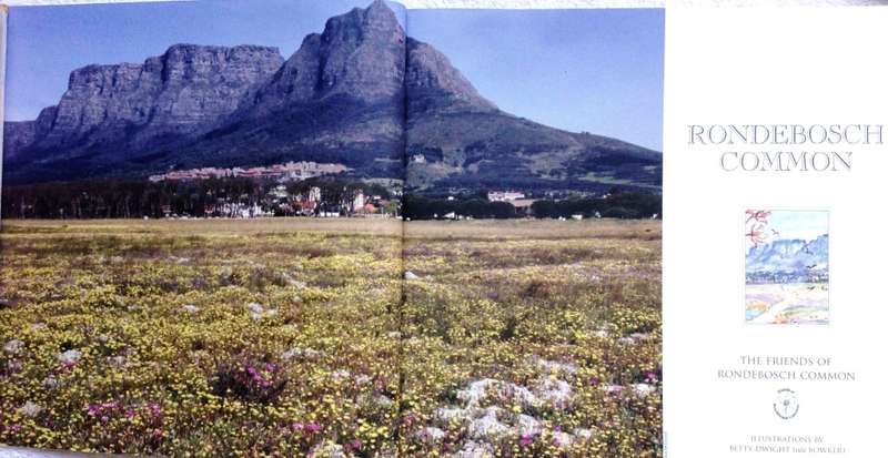 Rondebosch Common - The Friends of Rondebosch Common - Betty Dwight - book signed by Author