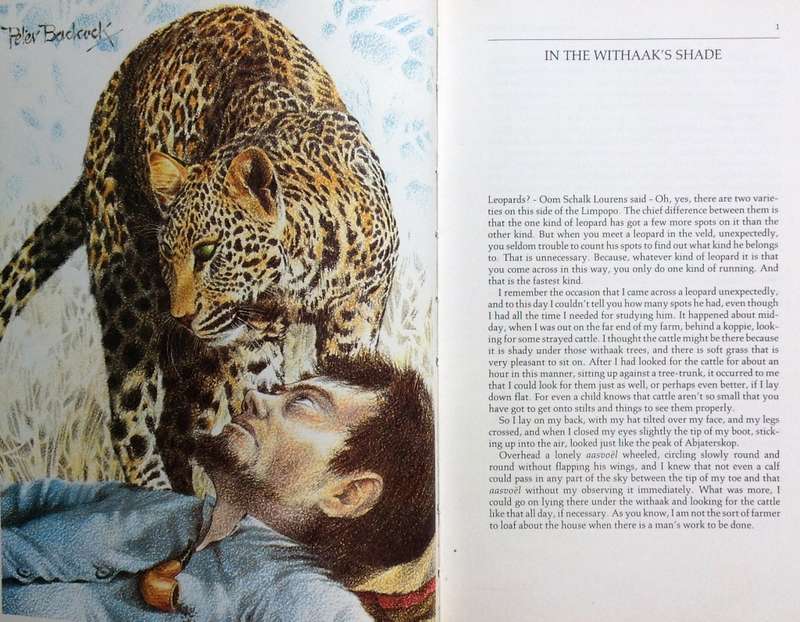 The Illustrated Bosman - Hardcover