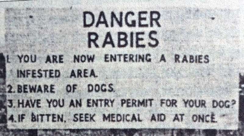 Mad Dogs and Meerkats - A History of Resurgent Rabies in Southern Africa - Karen Brown