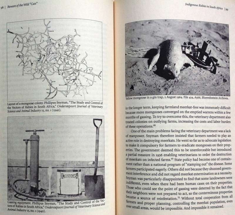 Mad Dogs and Meerkats - A History of Resurgent Rabies in Southern Africa - Karen Brown