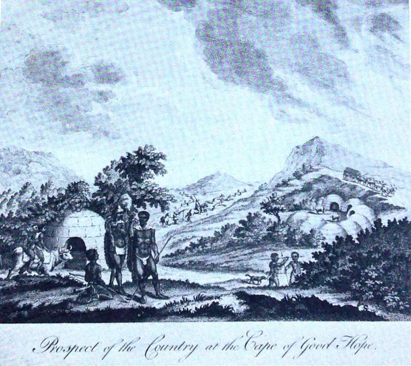 Anders Sparrman - Travels in the Cape - Van Riebeeck Society 1772 - 1776 - Volumes 1 & 2