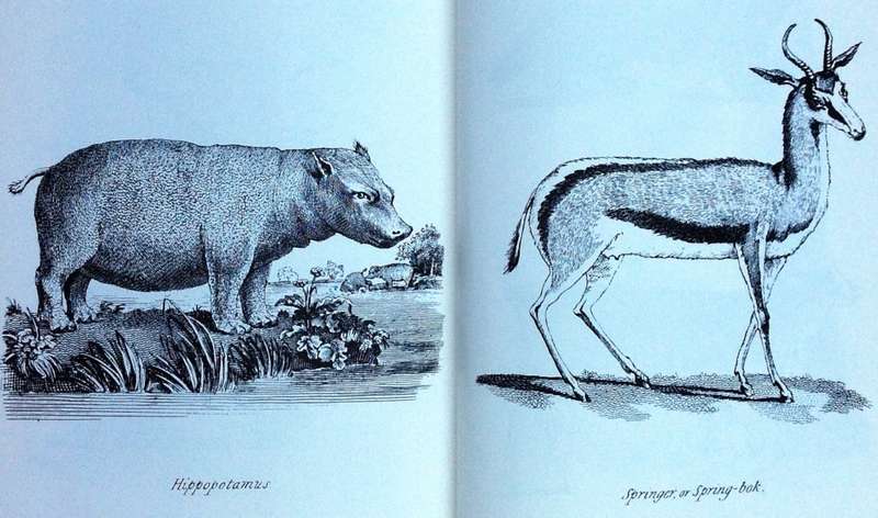 Anders Sparrman - Travels in the Cape - Van Riebeeck Society 1772 - 1776 - Volumes 1 & 2